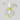 Celimax Retinol Shot Tightening Serum for Firm & Smooth Skin